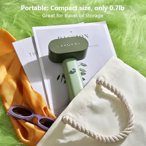 G6 Steamer for Clothes Portable 2-in-1 Travel Steamer Iron for Clothes, Just 0.7lbs Lightly, 10 Minutes of Continuous Steam, 900W Light Steamer for travel and home (green)