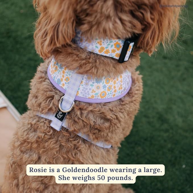 Lucy & Co. Among The Wildflowers Dog Collar - Durable Lightweight Designer Collar for Pets - Adjustable Metal Safety Buckle - Purple Floral - Medium