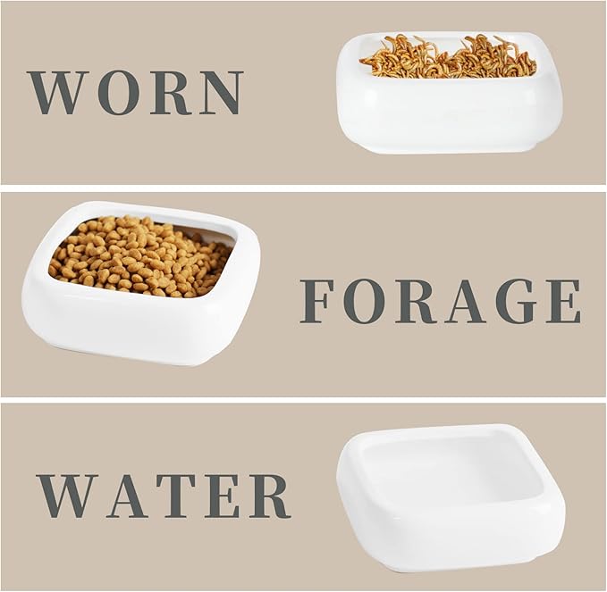 Reptile Food Bowls Ceramic Square Reptile Water Food Dish, Pet Food Bowl for Lizards, Young Bearded Dragons, Small Snakes, Gecko Tortoise Spider (White, Medium-2Pack)