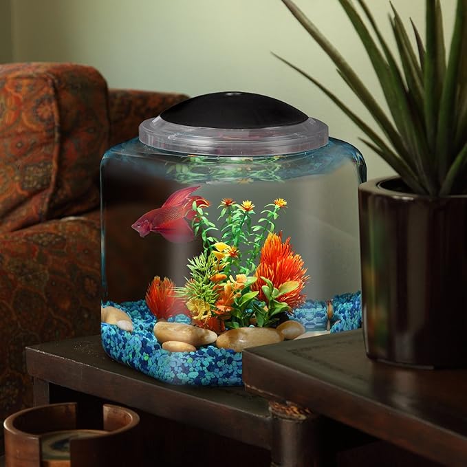 Koller Products 2-Gallon Hex Aquarium Starter Tank - LED Lighting (7 Color Selections), Impact-Resistant Plastic Fish Bowl for Betta/Nano/Goldfish, Wedding Event & Home Decor