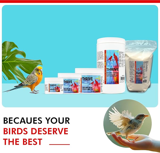 Morning Bird Thrive 16 Oz - Multi-Vitamin Bird Supplement Designed for Immune and Recovery Support - Formulated for Sick or Injured Birds - Protein Supplement and Energy Booster for All Adult Birds