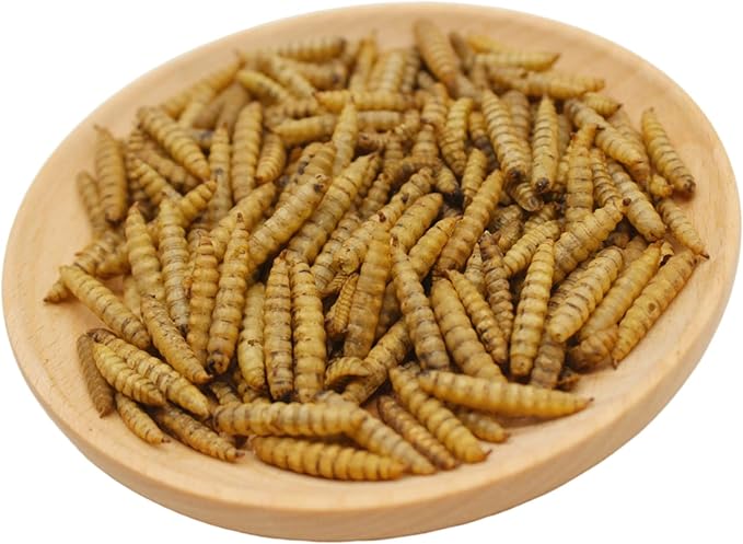 Premium Chicken Treats 10LB - Superior to Dried Mealworms - Non-GMO & 85X More Calcium Than Meal Worms - Molting & Laying Supplement - BSF Larvae Treats for Layer Hens, Ducks Wild Birds