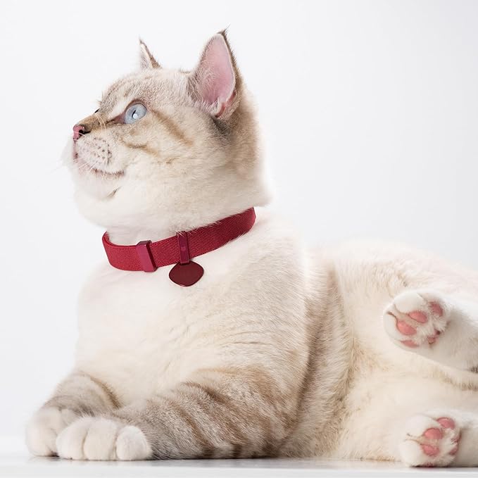 Safety Cat Collar Pro and Tag Set - U.S. IDA Gold Award, Elastic Release Cat Collar Charm Tag, Non Breakaway Cat Collar Adjustable with Charm for Kitten Small Large Cats (Olive, S)