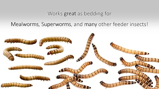 Wheat Bran Bedding & Gutload for Mealworms, Superworms, and Feeder Insects – 4 lb (64 oz) by Five-Star Feeders