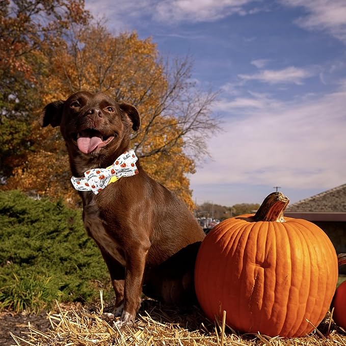 Halloween Dog Collar, Pet Collar Bow Pumpkin Pet Collar Girl Boy Bow Dog Collars Cute Soft Puppy Collar for X-Large Dogs
