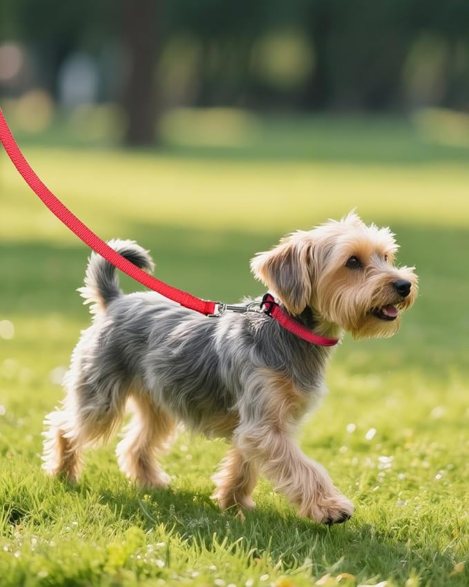 Joytale Small Dog Collar, Reflective and Adjustable Nylon Collar with Quick-Release Buckle, Lightweight No-Choke Design for Small Dogs, Red, 5/8" Width