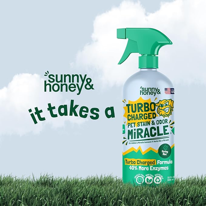 Sunny & Honey Enzyme Carpet Cleaner Spray - 32 Fl Oz, Spring Mint - Pet Urine Remover & Odor Eliminator - Stain Remover