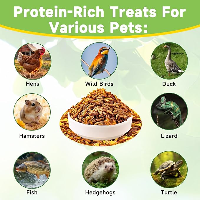 600g Dried Black Soldier Fly Larvae Treat for Chicken, 100% Natural Non-GMO More Calcium Than Dried Mealworms High Protein Chicken Feed for Birds, Ducks, Layer Hens