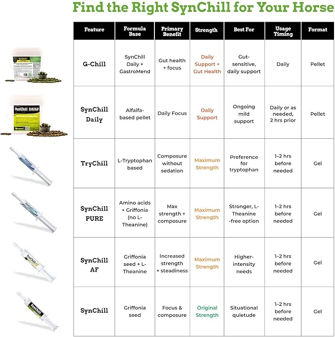 TryChill™ – L-Tryptophan-Based Support for Horses – Promotes a Composed Demeanor Without Sedation – Enhances Focus, Confidence & Performance – 100% Natural & Competition Safe