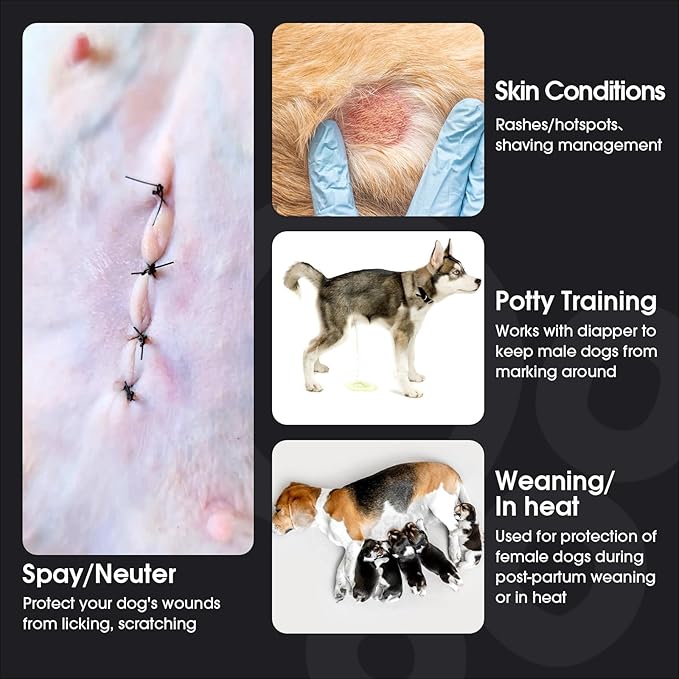 FUAMEY Recovery Suit for Dogs After Surgery,Soft Breathable Dog Bodysuit E-Collar & Cone Alternative Surgical Suit,Male Female Dog Neuter Spay Suits Anti Licking Wounds Onesie Mint Green Stripes M