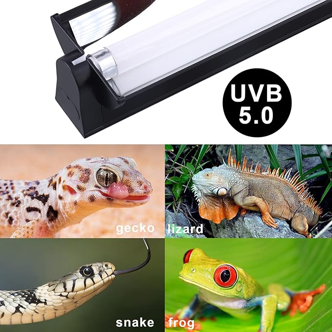 Aiicioo T5 UVB Lighting Combo Kit 8W - Reptile Light Fixture and T5 5.0 UVB Light Bulb for Bearded Dragon Leopard Gecko (12Inch 8W)