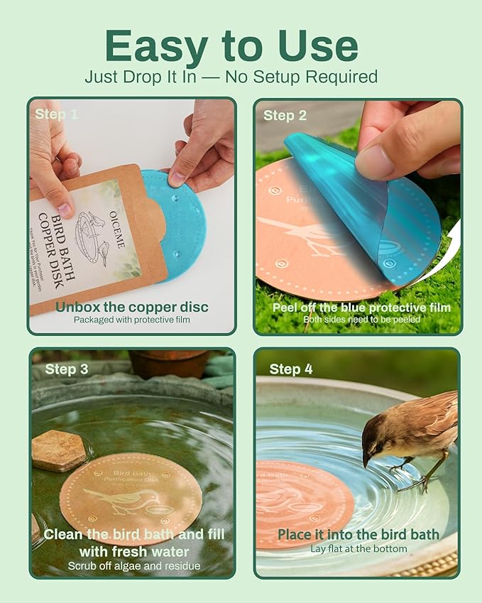 Bird Bath Purification Disk Pure Copper Outside Winter Solar Power Birdbath Hanging Bowl Pedestal Humming Feeder Fountain Cleaner Outside Dispenser Heater Garden Small Large Accessories 4pcs