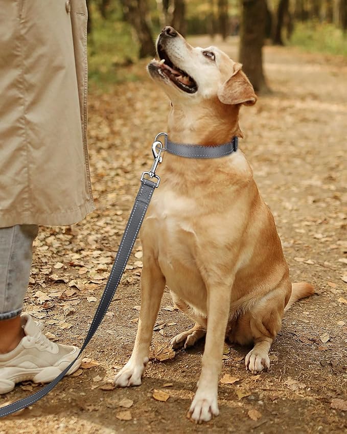TagME Reflective Nylon Dog Collars, Adjustable Classic Pet Collar with Quick Release Buckle for Puppy, Grey, 3/8" Width