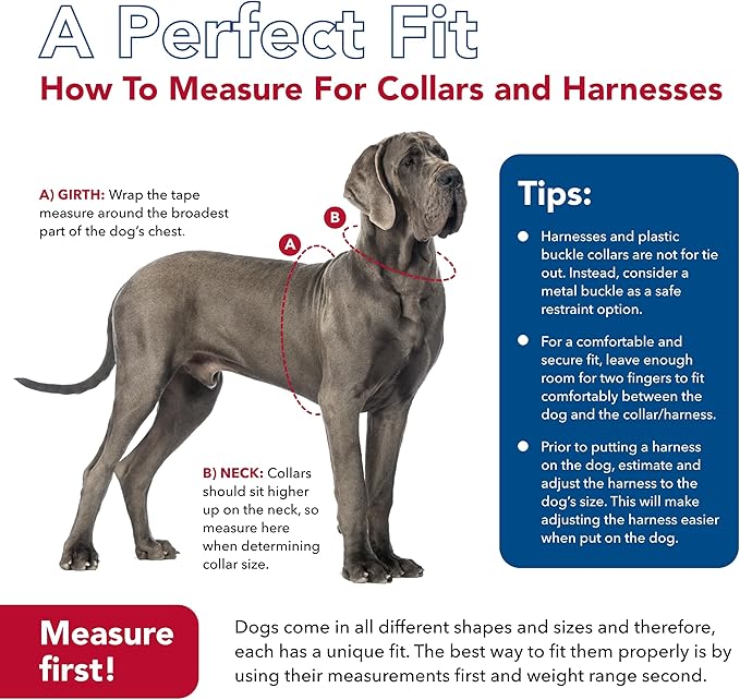 Coastal Pet - Check-Choke - Adjustable Check Training Collar for Dogs, Red, 3/4" x 14"-20"