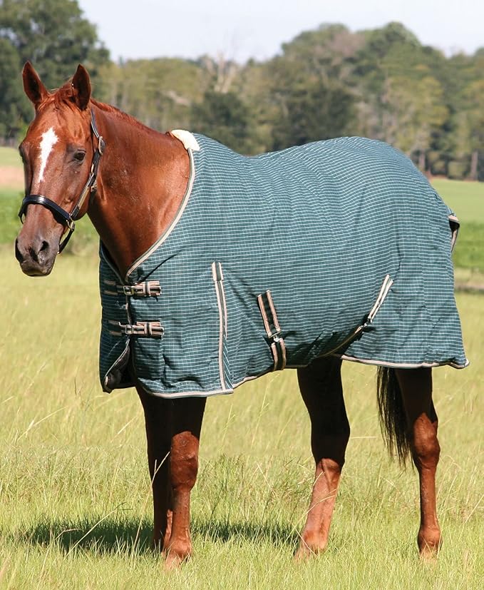 Jeffers Equine Basic Canvas Horse Blanket, 78" – Water Resistant Turnout Blanket for Horses, Pony, Draft – Breathable, Adjustable Straps, Tail Flap, Shoulder Gussets, Barn Gear - Green Tan Check