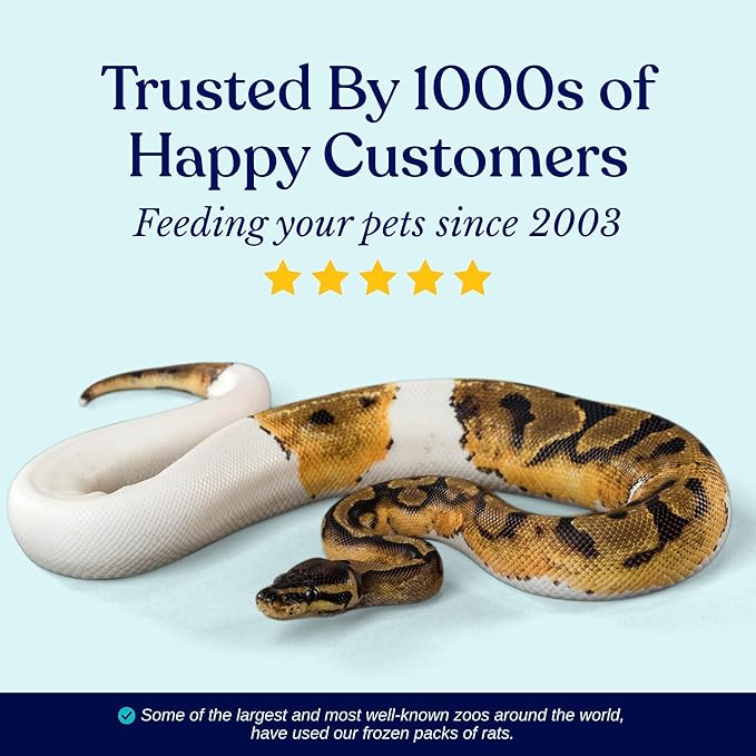 MiceDirect EST. 2003 Frozen Rat Medium Feeder Snake Food for Adult Ball Python Monitor, Lizard (15 Count)