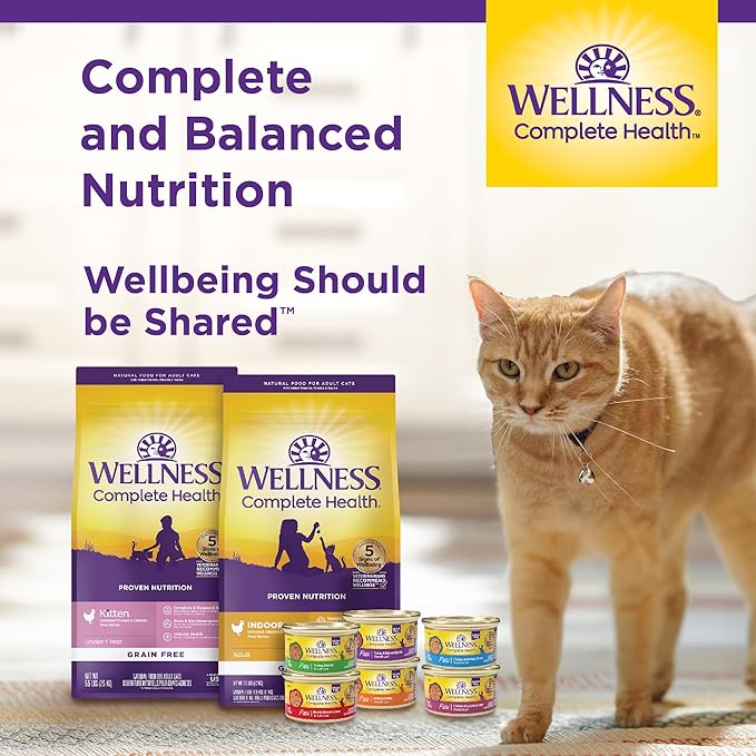 Wellness Complete Health Pate Kitten Wet Cat Food, Natural, Protein-Rich, Grain Free, 5.5 Ounce, 24 Pack, (Chicken)