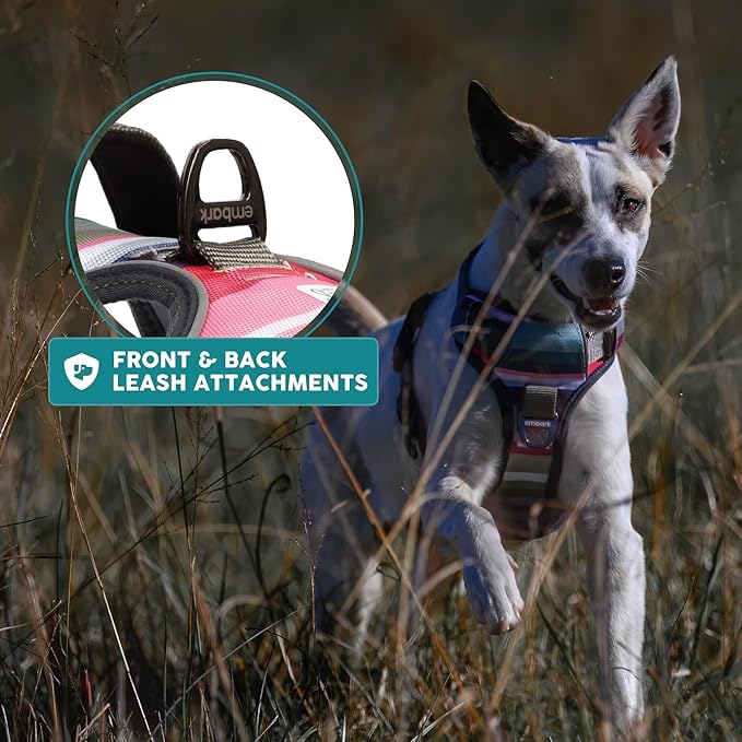 Embark Adventure Dog Harness, Reflective Trim XL Dog Harness for Extra Large Dogs No Pull - Military Grade Nylon, 2 Leash Clips & Gel Lined Handle. Soft & Padded Puppy Dog Harnesses for Any Breed