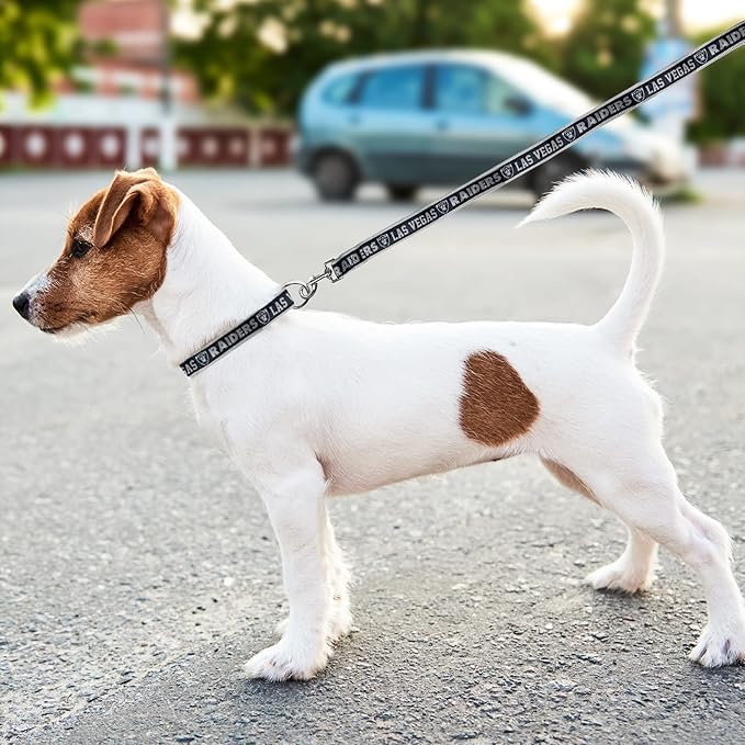 Pets First NFL Raiders Licensed PET COLLAR, Large - Heavy-Duty, Strong, and Durable Dog Collar. Available in 31 Football Teams and 4 Sizes
