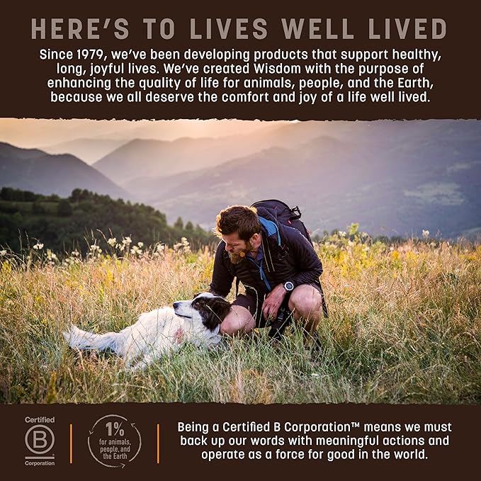 Earth Animal Wisdom Air Dried Dog Food - Chicken Recipe Premium Natural Dry Dog Food for All Breeds & Ages - 2 Lbs Bag