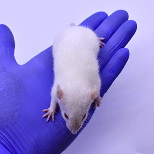 MiceDirect- Rat Weanlings- Fresh Fast Frozen Food Feeders for SubAdult Ball Python Red Tail Boa Monitor Lizard Birds of Prey Pet Reptiles (3.5-4.5 (Pack of 100))