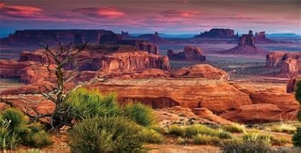 48X24IN Desert Loess Rock Cactus Oasis Reptile Habitat Background, Natural Sunset Desert Themed Terrarium Background, Aquarium Background with 10 EVA Double-Sided Tape