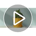 4 Inch Plant Pots with Drainage Holes, 6 Pack Plastic Indoor Flower Pots, Succulent Pots for Orchids, Violets, Succulents, Herbs, and Other Small Plant, 6 Colors