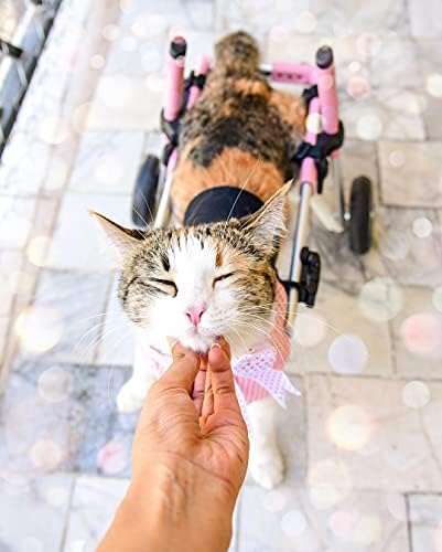Walkin' Wheels Lightweight – for Small Cats 2 to 20 Pounds – Veterinarian Approved – Cat Wheelchair for Back Legs, for Cats 11-20 lbs, 3-6 inches Leg Height – Blue
