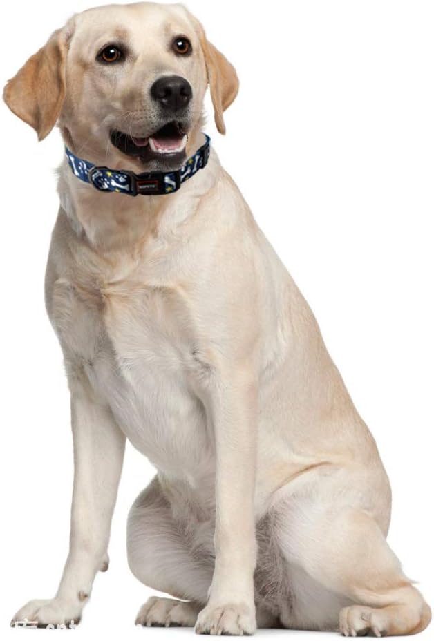 QQPETS Adjustable Soft Dog Collar: Print Flower Pink Multicolor Cute Patterns for XS Small Medium Large Pet Girl Boy Puppy Walking Running Training (L, Bone)