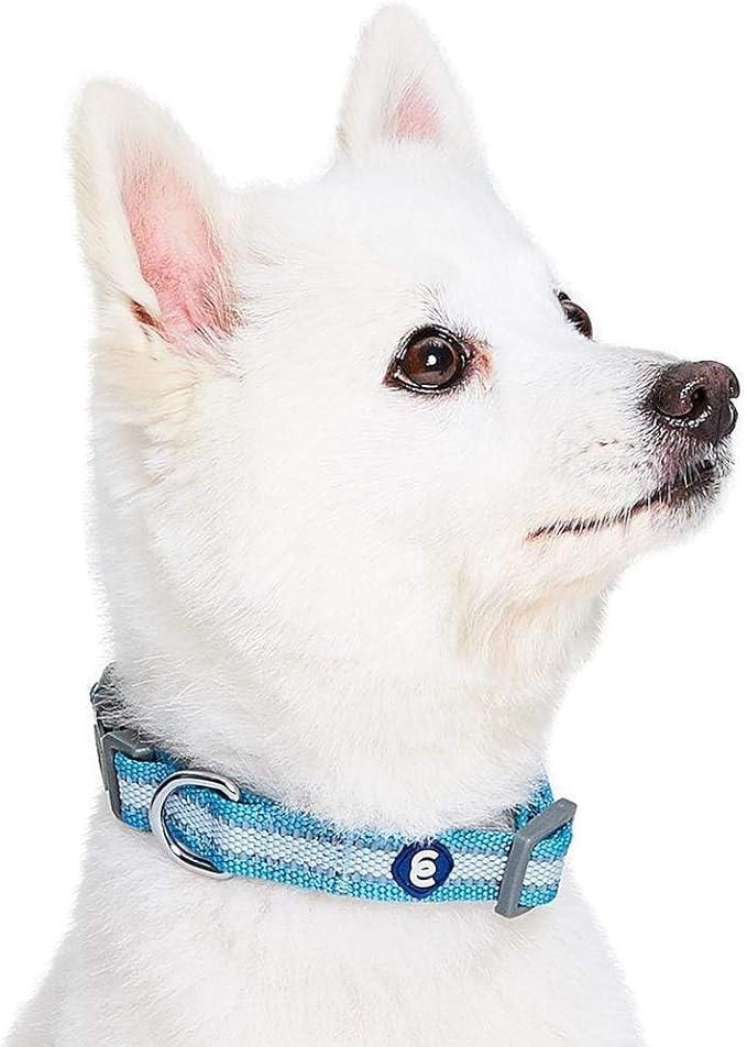 Blueberry Pet Essentials Reflective Dog Collar for Medium Dogs | Adjustable Nylon Collar in Sky Blue | Classic Solid Color Matching Medium Dog Collar