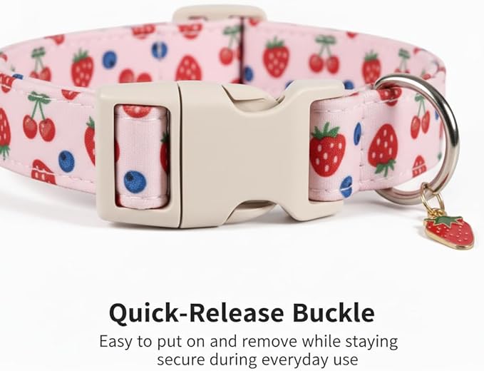 Pink Dog Collar, Girl Dog Collar for Small Dogs, Spring Summer Puppy Collar with Cute Strawberry, Cherry and Blueberry Print, Soft Adjustable Collars for Girls Boys Dogs, S
