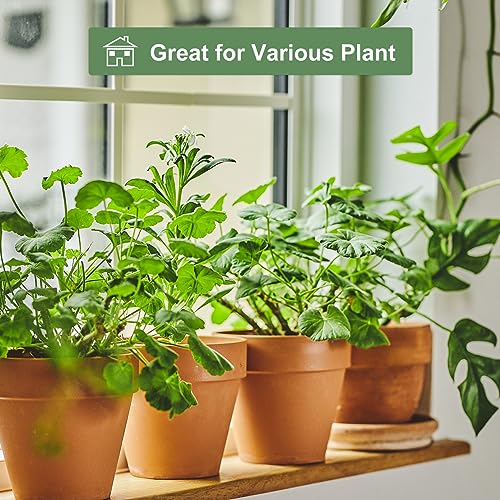 Orceler 6 inch Terracotta & Clay Pots for Plants with Saucer, Medium Terra Cotta Plant Pots with Drainage Hole, Flowerpot with Tray, Terracotta Pot for Indoor Outdoor Plant - Pack of 4 Planters