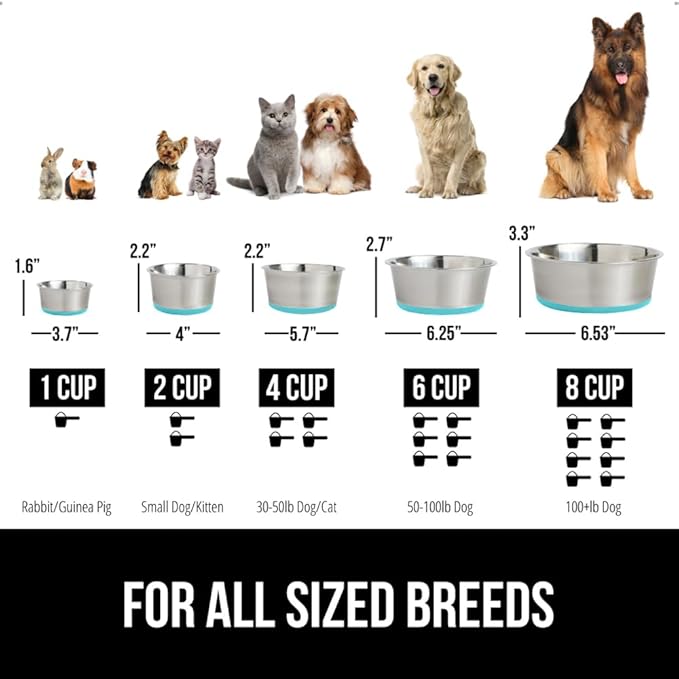 GORILLA GRIP Dog Bowls, Holds 1 Cup Each (8 fl oz), Heavy Duty Stainless Steel Food and Water Bowl for Feeding Dogs and Cats, Dishwasher Safe, Rust Resistant, BPA Free Rubber Base, Set of 2 Turquoise