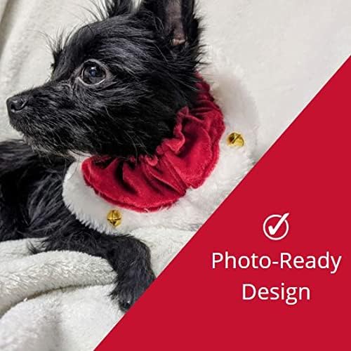 Huxley & Kent Ruff Pet Scrunchy | Santa (Small) | Festive Christmas/Holiday Neckwear for Dogs/Cats | Fun Stretchable Costume Accessory | Soft Collar with Bells