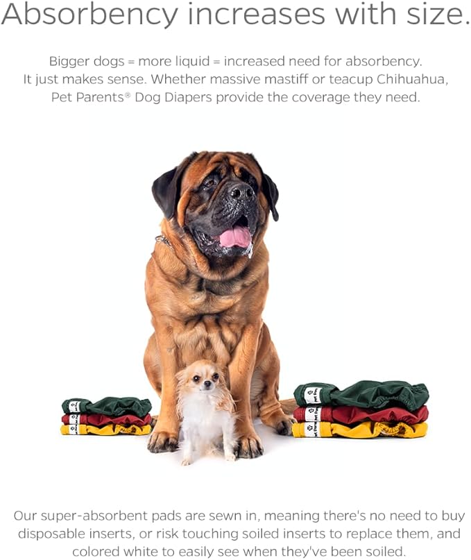 Pet Parents® Washable Dog Diapers (3pack) + Extendrs® of Durable Doggie Diapers, Premium Dog Diapers Female (Large, Samba)