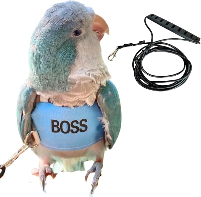 Bird Flight Harness Vest, Parrot Flight Suit with Leash, Bird Flying Clothes with Rope and Handle for Outdoor Activities (S)