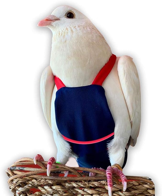 Bev's Bird Boutique Regular Flyper Adjustable Bird Diaper | Reusable, Washable Cloth | Comfort Fit for Parrot, Cockatiels, & Other Small Birds | Fashionable Avian Accessories, Navy & Red, Size 7