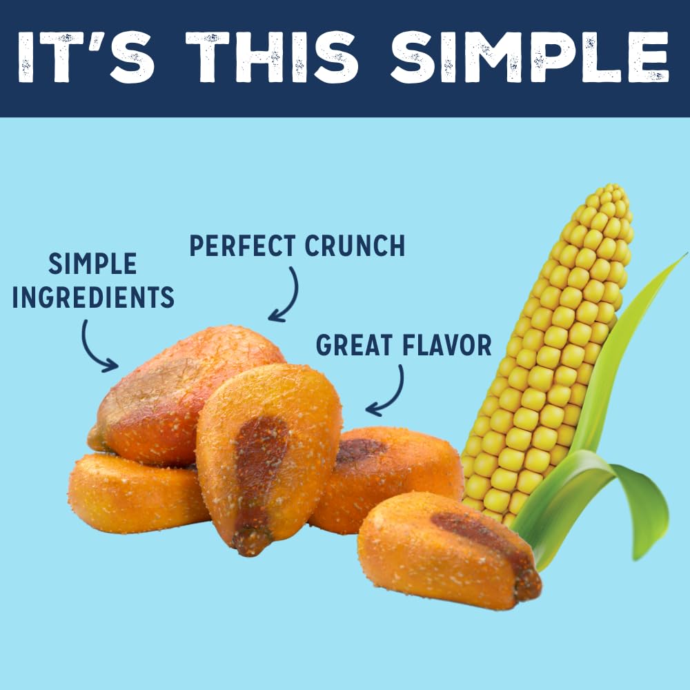 LOVE CORN Fab Four Variety Pack – Hot & Spicy, Sea Salt, BBQ, Salt & Vinegar – Crunchy Roasted Corn Snacks, Vegan, Gluten Free – Lunchbox, Office & On-the-Go, Alternative to Chips – 0.7oz × 20 Bags