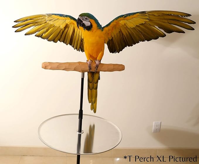 Parrot Training Perch Stand with Potty Tray (T Perch Hardwood, Small)