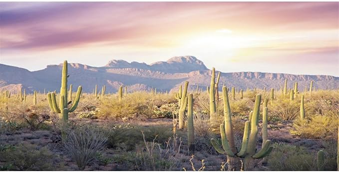 AWERT Reptile Habitat Background Blue Sky Oasis Mountain Cactus Sun and Desert Terrarium Background 72x16 inches