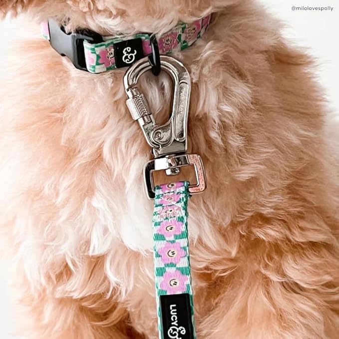 Lucy & Co. Making Rainbows, Cute Reversible Dog Harness Walking Halter - Best Designer Pet Harnesses for XS - XL Dogs - Padded Adjustable Vest for Easy Walking (Large)