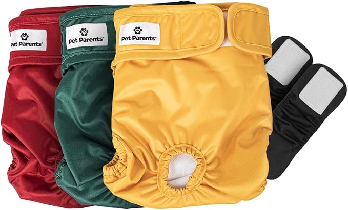 Pet Parents® Washable Dog Diapers (3pack) + Extendrs® of Durable Doggie Diapers, Premium Dog Diapers Female (Medium, Samba)