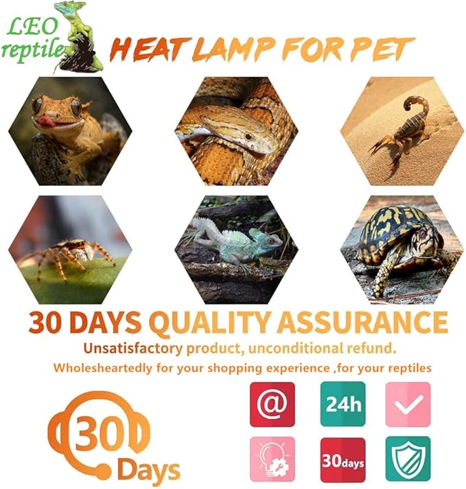 Leoterra Reptile UVB Light Bulb13W 10.0 for Bearded Dragon,Snakes,E26 Base UVA UVB Reptile Light Bulb(13W 10.0)