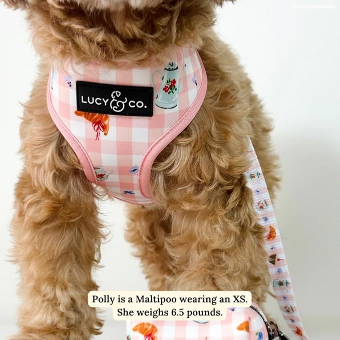 Lucy & Co. Sipping Slowly Reversible Dog Harness, Adjustable Comfort Fit with Dual Leash Attachments, X-Large