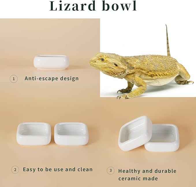 Reptile Food Bowls Ceramic Square Reptile Water Food Dish, Pet Food Bowl for Lizards, Young Bearded Dragons, Small Snakes, Gecko Tortoise Spider (White, Large-2Pack)