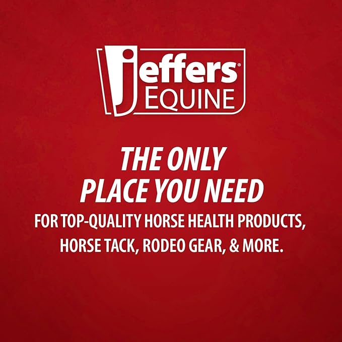 Jeffers Equine Protective Horse Boots 1 Pair Black - Safe Neoprene Leg Guards & Comfortable Fit, Durable Strap Closures, Front & Hind Support, Equestrian Accessories for Travel & Riding - Small