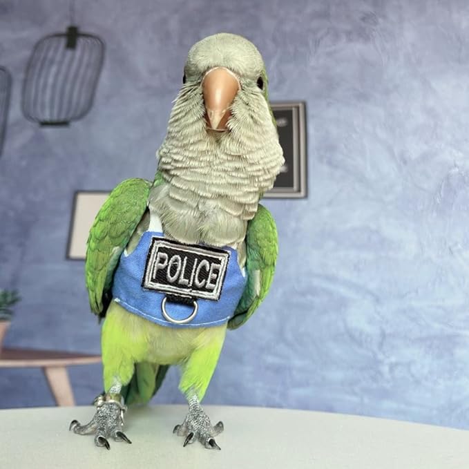 Bird Flight Harness Vest, Parrot Flight Suit with Leash, Bird Flying Clothes with Rope and Handle for Outdoor Activities (with Leash,Hahn's Macaw)