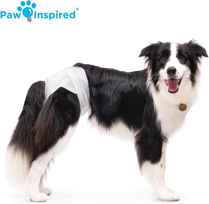 Paw Inspired Disposable Dog Diapers | Female Dog Diapers Ultra Protection | Diapers for Dogs in Heat, Excitable Urination, or Incontinence (12&144 Count) (Large (144 Count))