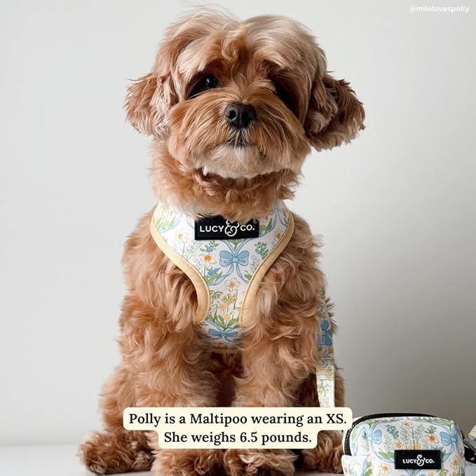 Lucy & Co. Sunshine and Daffodils Reversible Dog Harness, Adjustable Comfort Fit with Dual Leash Attachments, X-Large