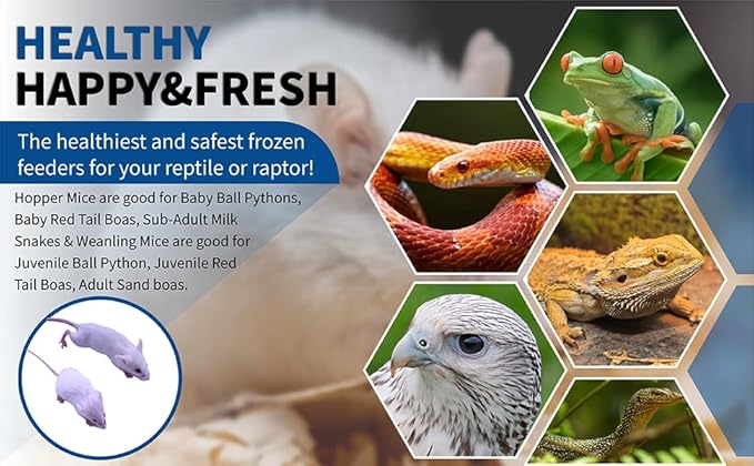 MiceDirect 30 Frozen Mice Combo Pack of 15 Hoppers and 15 Weanling Feeders Snake Food for Mice for Juvenile Ball Python Adult Milk Corn Snakes (1.5-2.5 in)(Pack of 30)(300 Grams Min)